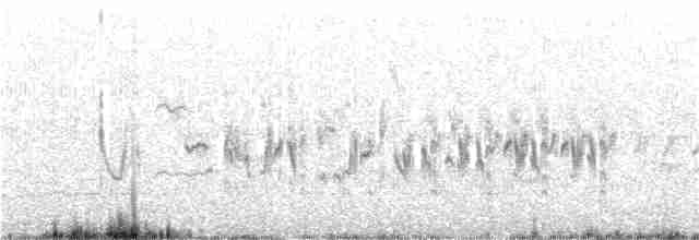 Balearengrasmücke - ML22976571