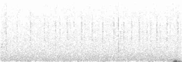 Balearengrasmücke - ML22976591