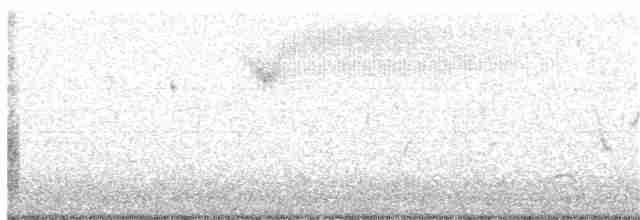 Grasshopper Sparrow - ML229852481