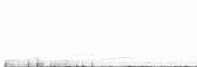 Plongeon arctique - ML229966691