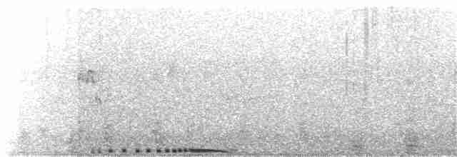 holub skalní (domácí) - ML229986521