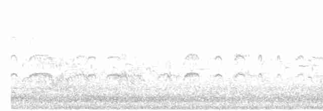 Common Tern (hirundo/tibetana) - ML230014401