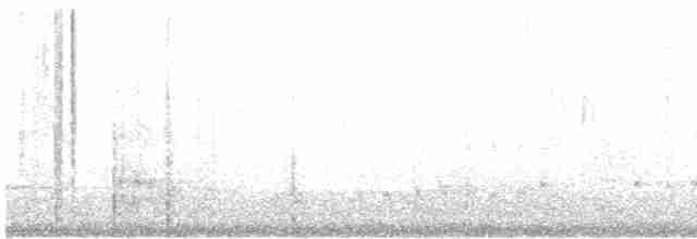 hvitbrynsvartspett - ML230030911