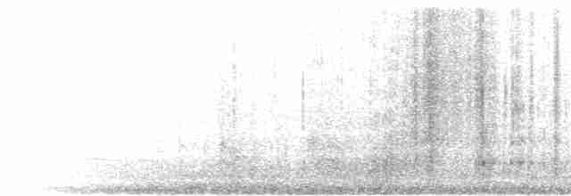 hvitbrynsvartspett - ML230039191