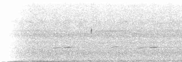 Sickle-winged Nightjar - ML230044