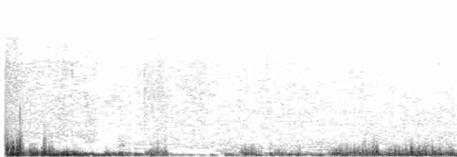 Kara Kulaklı Kuyrukkakan - ML230078201