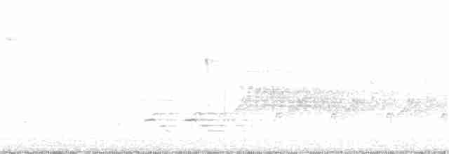 Paruline vermivore - ML230103751