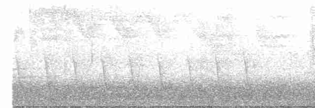 Cerulean Warbler - ML230113781