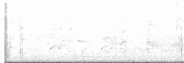 White-eyed Vireo - ML230116361