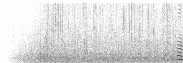 Indianerblässhuhn (rotschildig) - ML23014301
