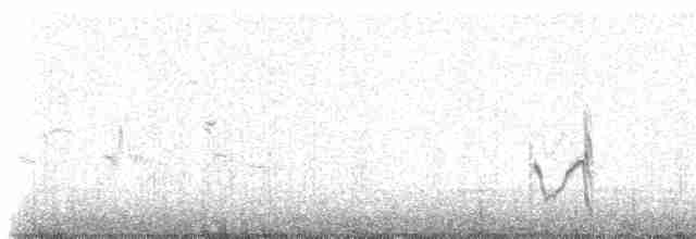 Перепончатопалый галстучник - ML230146