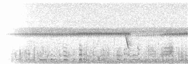 Глазчатая кряква - ML23014781