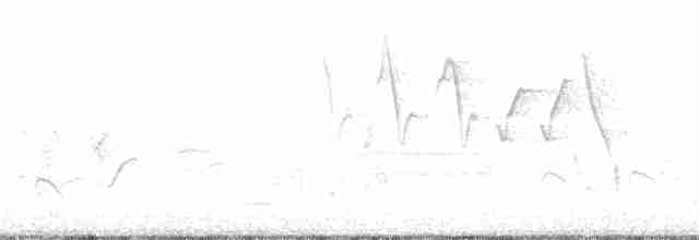 Küçük Boreal Sinekkapan - ML230155961