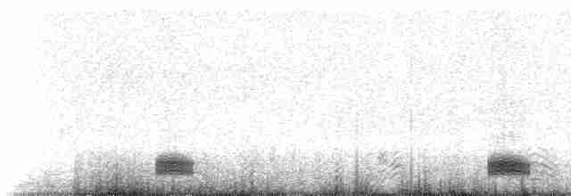 Гагара червоношия - ML230178