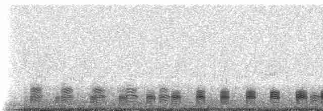 Гагара червоношия - ML230182