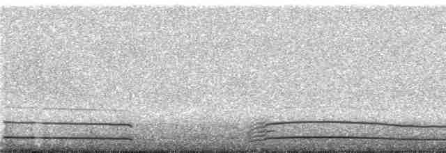 Гагара червоношия - ML230188