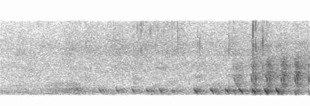 trogon černohlavý - ML230220361