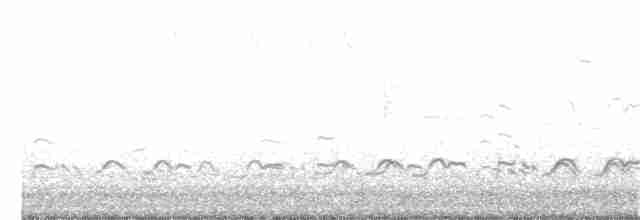 Перепончатопалый улит (semipalmata) - ML230246641