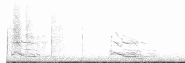 Gaviota Argéntea (americana) - ML230247841