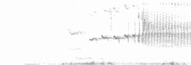 Araukarya Sinklotu - ML230294811