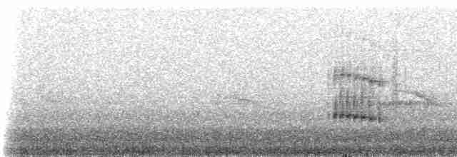 Tarçın Göğüslü Todi Tiranı - ML230338