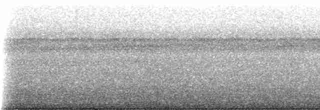 Рыжекрылая гологлазка - ML230355