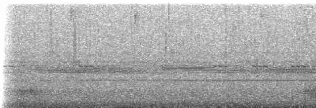 Lyre-tailed Nightjar - ML230363