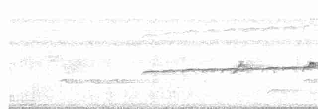 Halsband-Ameisenvogel - ML230380691