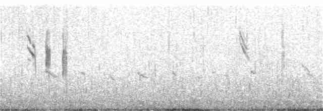 Горихвістка червоночерева - ML230384921
