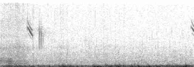 Горихвістка червоночерева - ML230385131