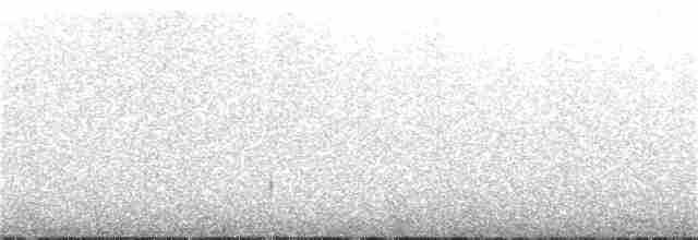 Cape Starling - ML230476941