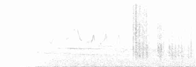Kanyon Çıtkuşu - ML230617261