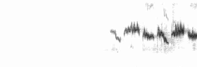 Black-throated Gray Warbler - ML230617501
