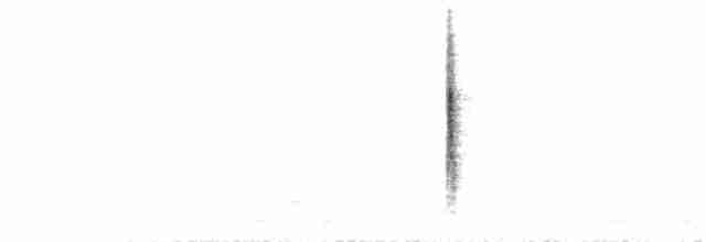 Black-throated Gray Warbler - ML230617591