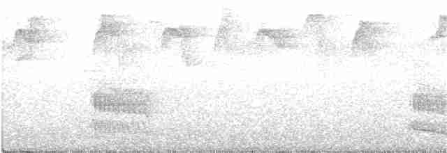 båndtrogon (aurantiiventris/underwoodi) (ildbuktrogon) - ML230627321