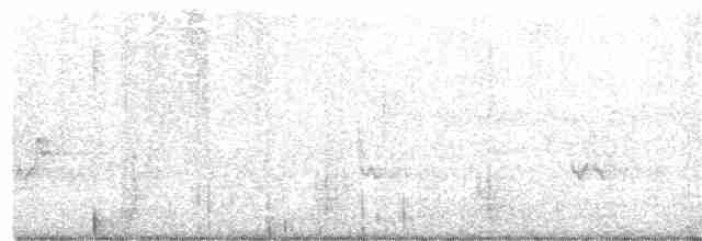 Длиннохвостый крапивник - ML230635771