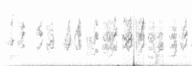סנונית רפתות - ML230739121