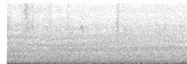 ハイゴシハリオアマツバメ - ML230752541