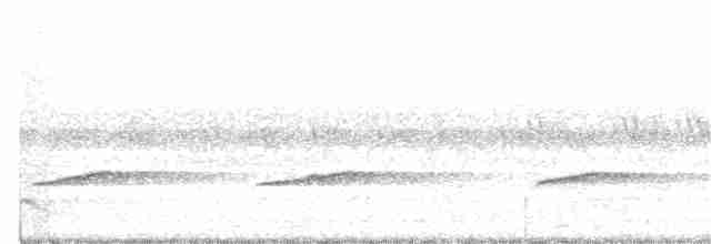 Brush Cuckoo (Sunda) - ML230758031