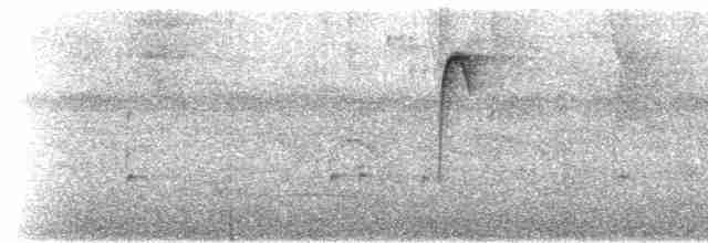 Тёмногорлый колибри-отшельник - ML230782