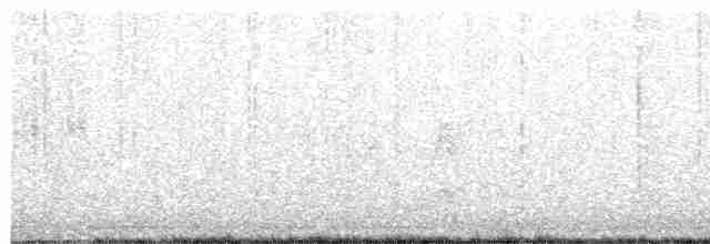Common Yellowthroat - ML230830451