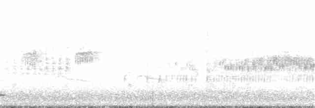 Соловьиный сверчок - ML230838281