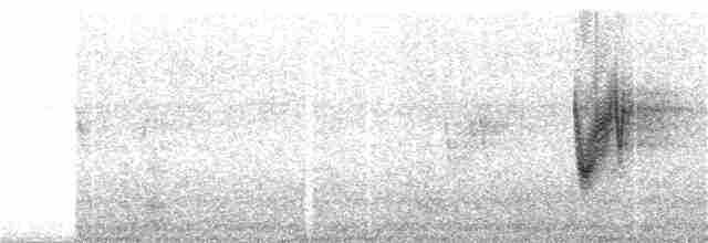 Savannennachtschwalbe - ML230854371