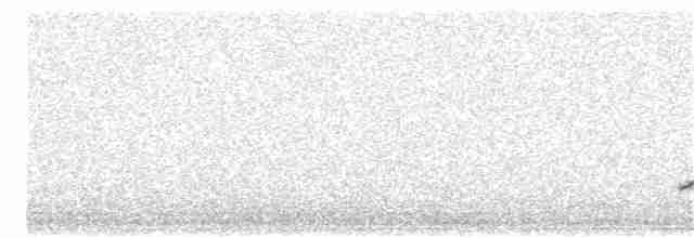 אנפית גמדית (אירואסייתית) - ML230888171