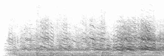Kuzey Gümüş Martısı (mongolicus) - ML230923