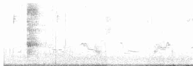 European Starling - ML230938141