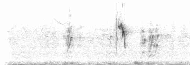 Barn Swallow (Tytler's) - ML230960