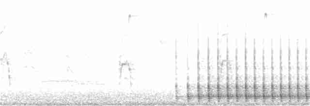 Pileated Woodpecker - ML230960061