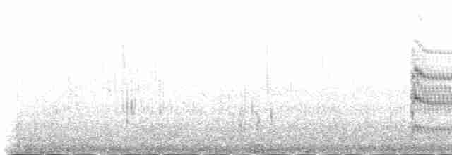 Flussseeschwalbe (longipennis) - ML230967