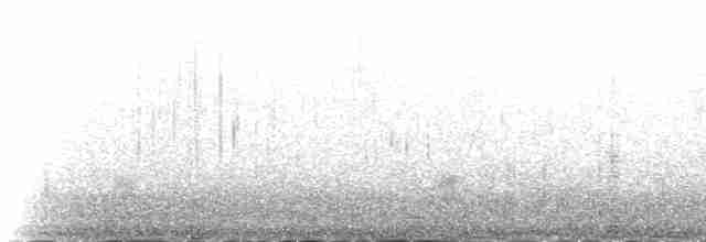 Sterne pierregarin (longipennis) - ML230973